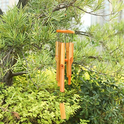 Bamboo wind chime hanging from a tree branch.